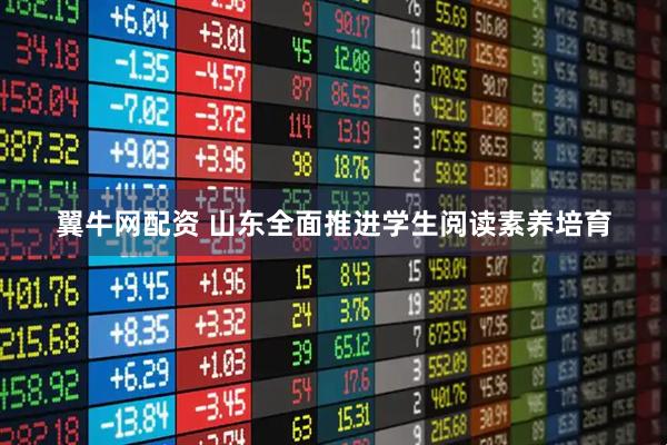 翼牛网配资 山东全面推进学生阅读素养培育