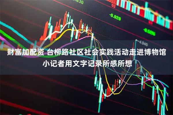 财富加配资 台柳路社区社会实践活动走进博物馆 小记者用文字记录所感所想