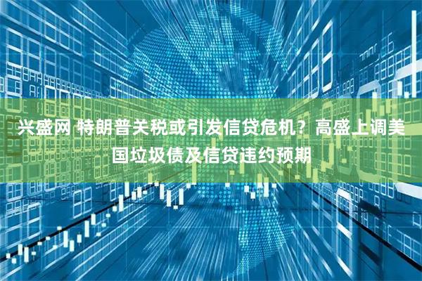 兴盛网 特朗普关税或引发信贷危机？高盛上调美国垃圾债及信贷违约预期