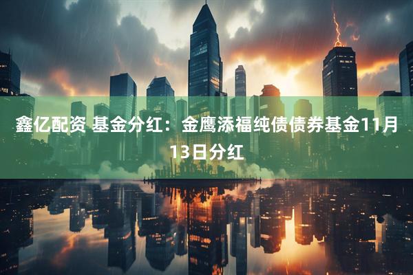 鑫亿配资 基金分红：金鹰添福纯债债券基金11月13日分红